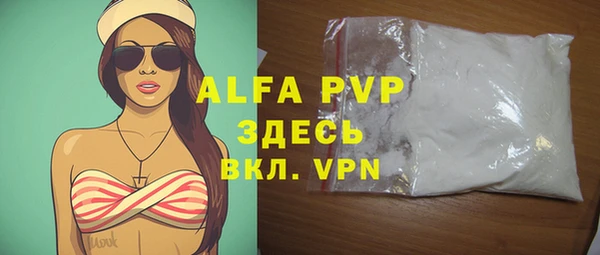 бошки Инта