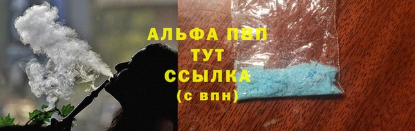 спиды Каменка