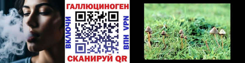 где можно купить наркотик Кораблино Псилоцибиновые грибы мицелий